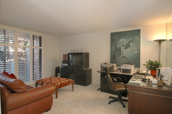 Lower Den Room