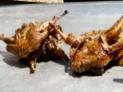 Image result for Grilled Quail