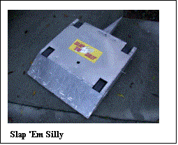 Text Box:  
 Slap 'Em Silly 
